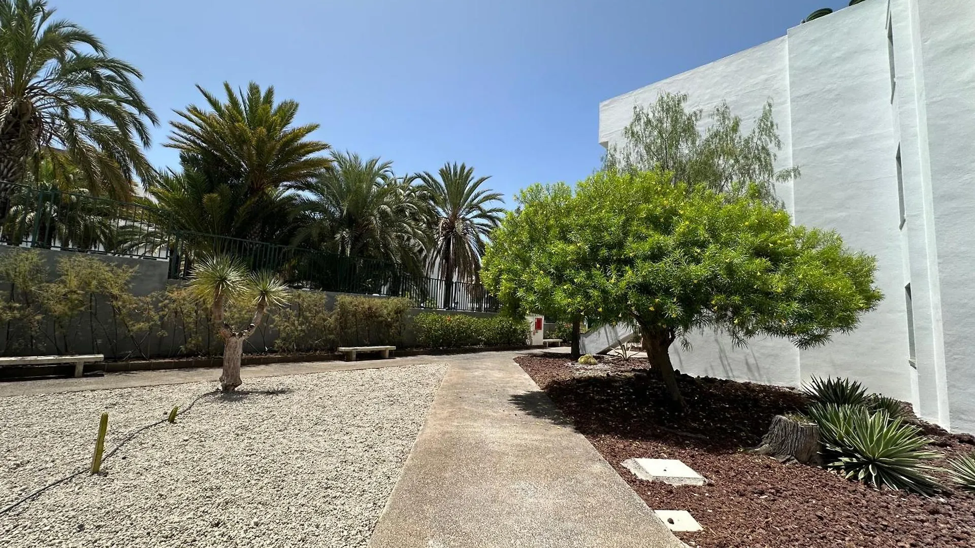 Daire Centro Playa De Las Americas Arona